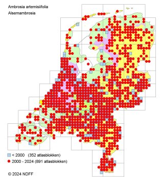 Verspreidingskaart Alsemambrosia