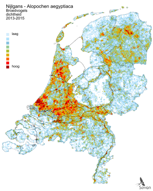 Verspreidingskaart Nijlgans (Sovon, 2018)